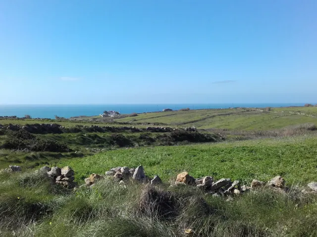 Praia de São Julião, Ericeira
