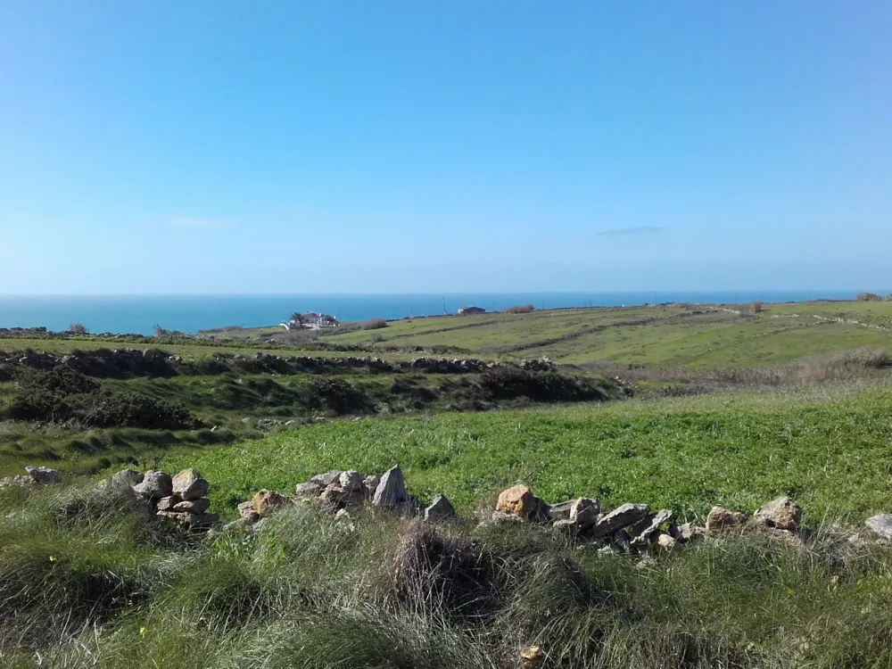 Praia de São Julião, Ericeira